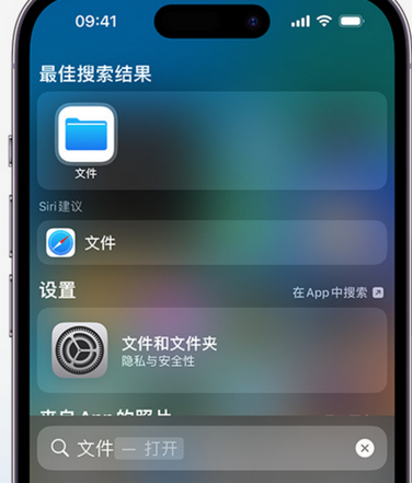 慈溪apple维修中心分享iPhone文件应用中存储和找到下载文件 