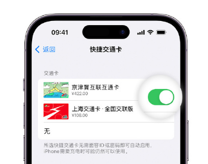 慈溪apple维修点分享iPhone上更换Apple Pay快捷交通卡手绘卡面 