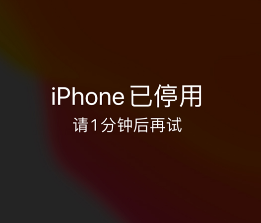 慈溪苹果手机维修分享:iPhone 显示“不可用”或“已停用”怎么办？还能保留数据吗？ 