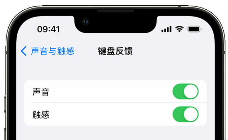 慈溪苹果手机维修分享iPhone 14触感键盘使用方法 