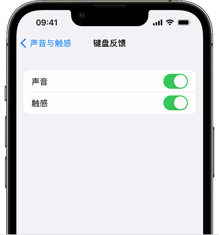 慈溪苹果14维修店分享如何在 iPhone 14 机型中使用触感键盘 