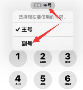 慈溪苹果14维修店分享iPhone 14 Pro Max使用副卡打电话的方法 