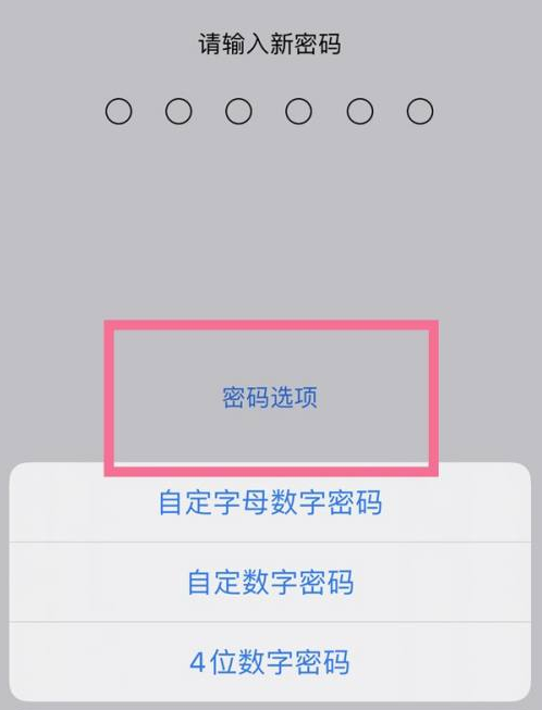 慈溪苹果14维修分享iPhone 14plus设置密码的方法 