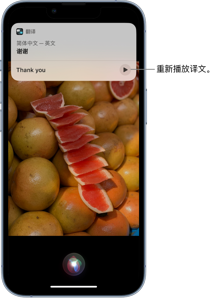 慈溪苹果14维修分享 iPhone 14 机型中使用 Siri：了解 Siri 能帮你做什么 