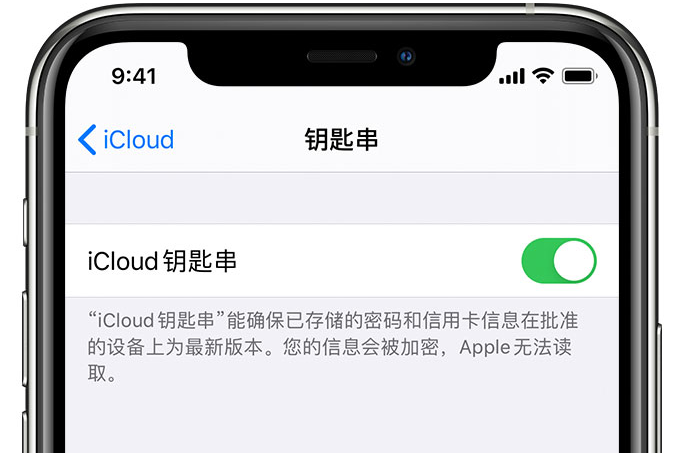 慈溪苹果手机维修分享在 iPhone 上开启 iCloud 钥匙串之后会储存哪些信息 