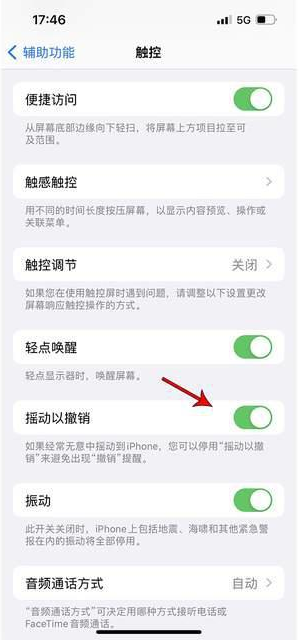 慈溪苹果手机维修分享iPhone手机如何设置摇一摇删除文字 